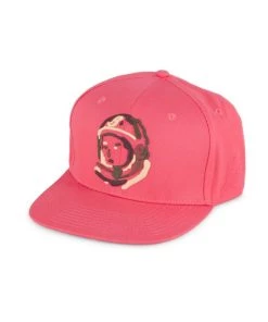 Billionaire Boys Club Terra Snapback Hat For Men Katydid -LoveShackFancy And Billionaire Boys Club Sales unnamed file 1334